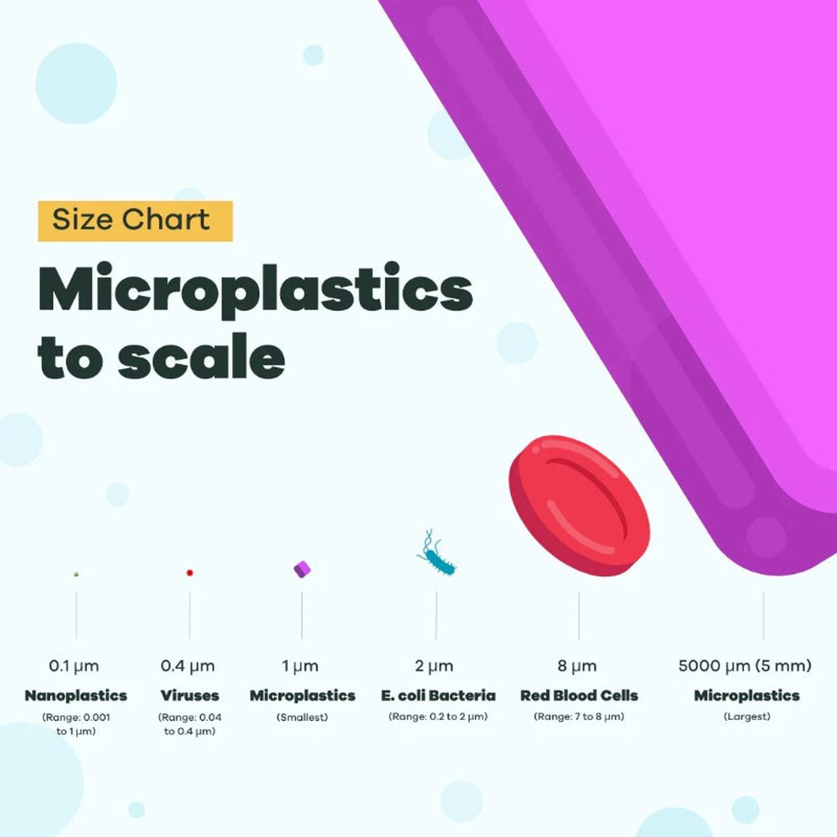 SimpleLab - Microplastics Water Test Kits - Miscroplastics to Scale